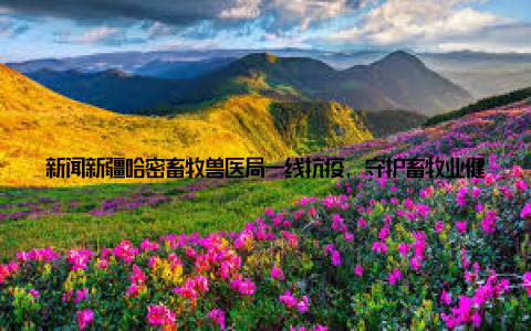 新闻新疆哈密畜牧兽医局一线抗疫, 守护畜牧业健康发展在新疆哈密这片广袤的土地上, 有一群默默无闻的守护者, 他们头顶烈日, 脚踏泥泞, 日夜坚守在防疫一线, 用行动诠释着责任与担当
