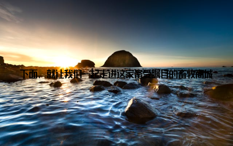 下面, 就让我们一起走进这家备受瞩目的畜牧商城, 看看它如何引领畜牧市场新潮流一、北京阳光畜牧商城一站式采购新体近年来, 我国畜牧产业快速发展, 畜牧产品种类繁多, 消费者在选择时往往感到无所适从