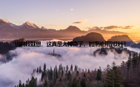 当时我就想, 这真是太神奇了, 如果能用到我们的养殖场, 那该多好啊于是, 我抱着试一试的心态, 联系了文章中提到的设备供应商