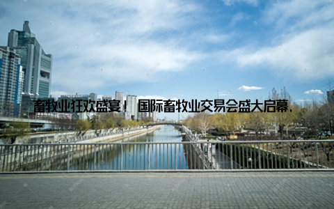 畜牧业狂欢盛宴! 国际畜牧业交易会盛大启幕, 聚焦产业链融合发展 畜牧业的青春派对来了想象一下, 一群充满活力的年轻人, 怀揣着梦想, 汇聚在同一个舞台上, 共同探讨、共同成长