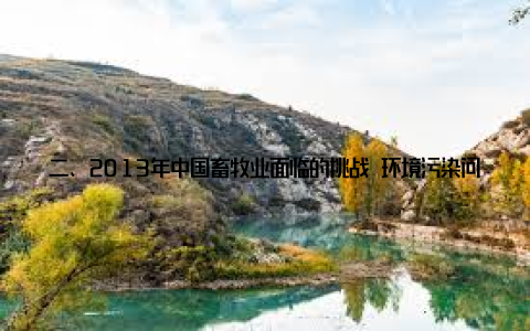 二、2013年中国畜牧业面临的挑战 环境污染问题突出畜牧业发展过程中, 养殖废弃物处理不当导致环境污染问题日益严重