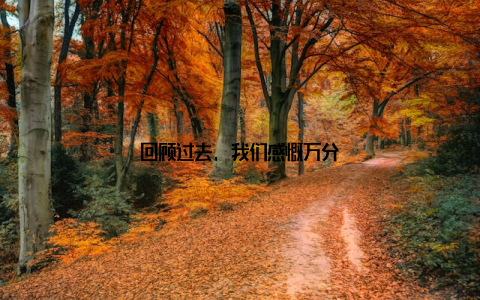 回顾过去, 我们感慨万分