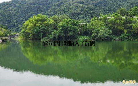这句话让我陷入了沉思