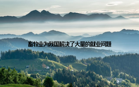 畜牧业为我国解决了大量的就业问题