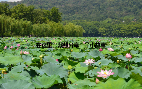 在这里, 我想分享一个小故事