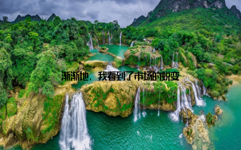 渐渐地, 我看到了市场的蜕变