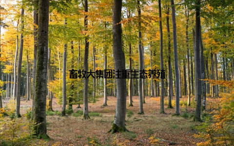 畜牧大集团注重生态养殖