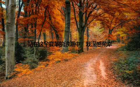 站在这个变革的浪潮中, 我深感荣幸