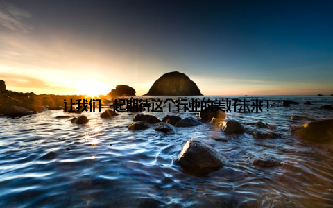 让我们一起期待这个行业的美好未来!