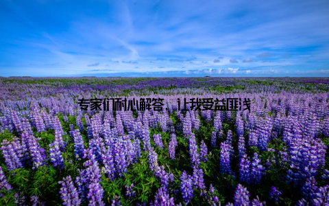 专家们耐心解答, 让我受益匪浅