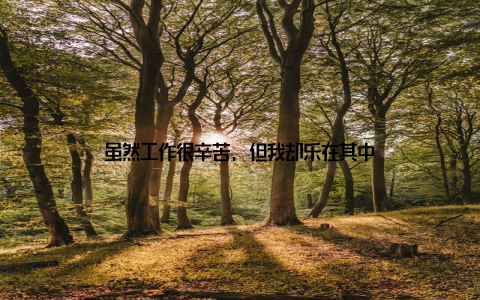 虽然工作很辛苦, 但我却乐在其中