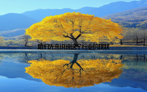 咱们先来说说这个行业的现状