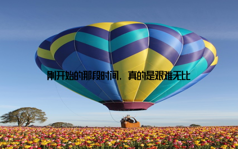 刚开始的那段时间, 真的是艰难无比