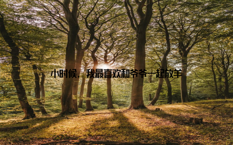 小时候, 我最喜欢和爷爷一起放羊