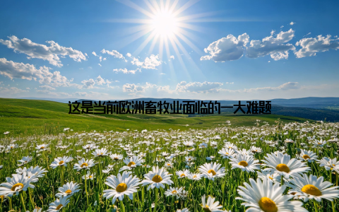 这是当前欧洲畜牧业面临的一大难题