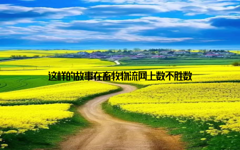 这样的故事在畜牧物流网上数不胜数