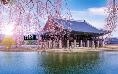 在这里, 我收获了成长、友谊和感动