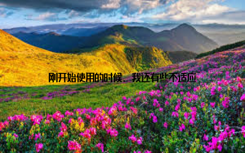 刚开始使用的时候, 我还有些不适应