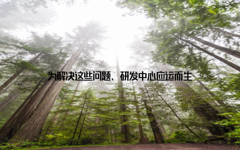 为解决这些问题, 研发中心应运而生