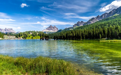 接着, 我来到了鸡舍