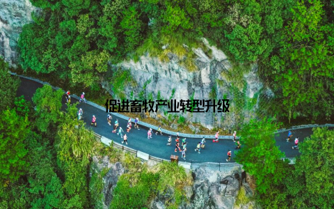 促进畜牧产业转型升级