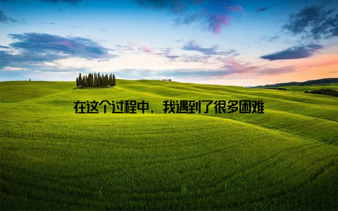 在这个过程中, 我遇到了很多困难