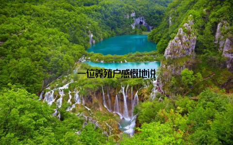 一位养殖户感慨地说