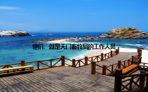 他们, 就是天门畜牧局的工作人员