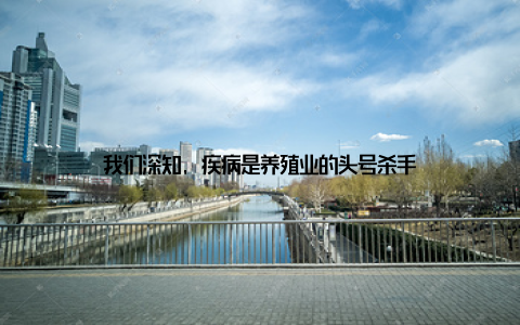 我们深知, 疾病是养殖业的头号杀手