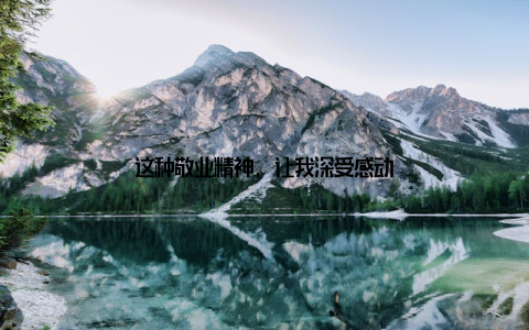 这种敬业精神, 让我深受感动