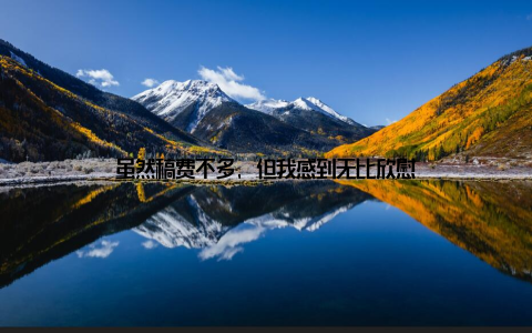 虽然稿费不多, 但我感到无比欣慰