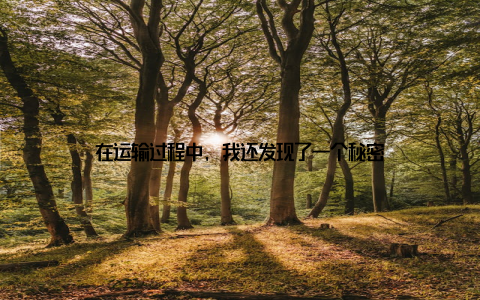 在运输过程中, 我还发现了一个秘密