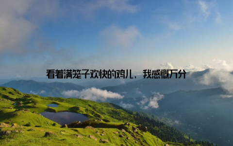 看着满笼子欢快的鸡儿, 我感慨万分