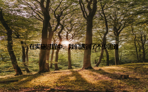 在实施过程中, 我们遇到了不少困难