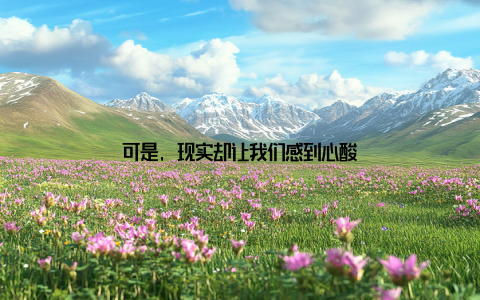 可是, 现实却让我们感到心酸