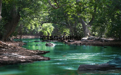 加强畜牧业科技创新