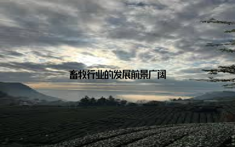 畜牧行业的发展前景广阔