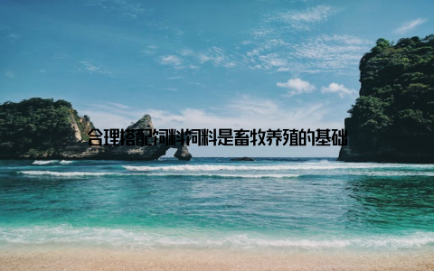 合理搭配饲料饲料是畜牧养殖的基础