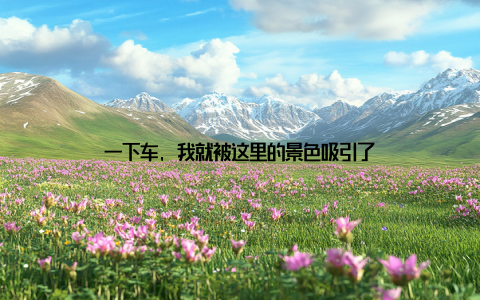 一下车, 我就被这里的景色吸引了