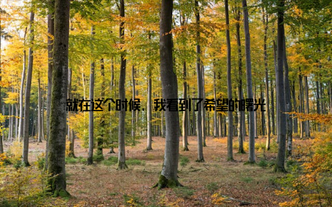 就在这个时候, 我看到了希望的曙光