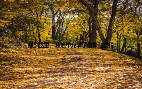 想到这里, 我心中充满了自豪和喜悦