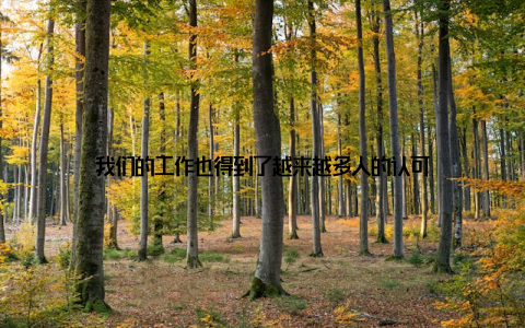 我们的工作也得到了越来越多人的认可