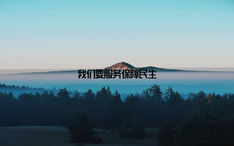 我们要服务保障民生