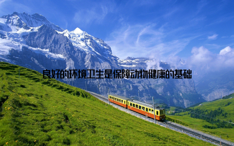 良好的环境卫生是保障动物健康的基础