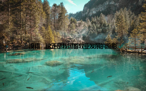 没错, 这正是我国畜牧业发展的缩影