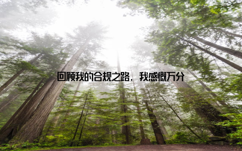 回顾我的合规之路, 我感慨万分