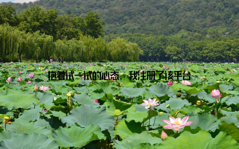 抱着试一试的心态, 我注册了该平台