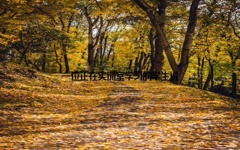 一位正在实训室学习的学生说