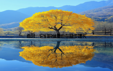 而且, 它们的体重也在稳步增长