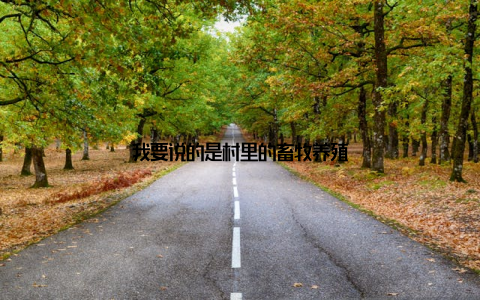 我要说的是村里的畜牧养殖